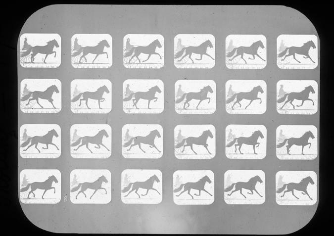 'Horse. (Occident) trot with sulky, copyright Kingston Museum and Heritage Service, 2010' 